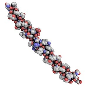 1684233174318189 1684233174318189