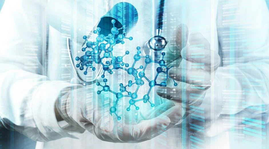 36020241125172745139 36020241125172745139